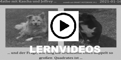 LERNVIDEOS LERNVIDEOS